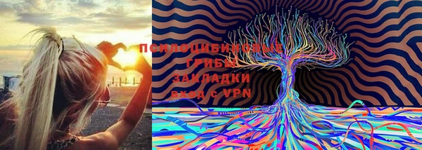 прущая мука Армянск